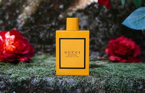 gucci bloom profumo development|gucci bloom original.